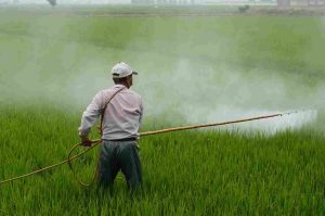 Can-You-Mix-Roundup-With-Diesel-Fuel