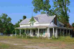 Will-Diesel-Fuel-Kill-Kudzu