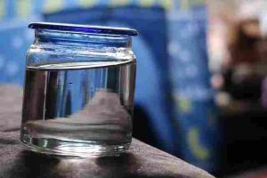 can-mint-grow-in-water